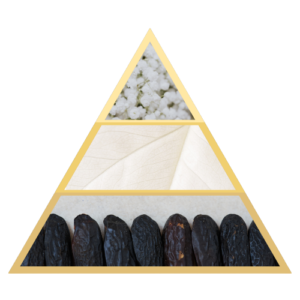 Pyramide Olfactive Super Saiyan Extrait de Parfum Edition Spécial Collection Prestige Absoluta